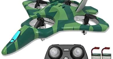 ZEGO F22 Remote Control Jet, Quadcopter Fighter Jet with 360° Flip, 2.4GHz 6-Axis Gyro Technology and 4 Blade Propellers (Green)